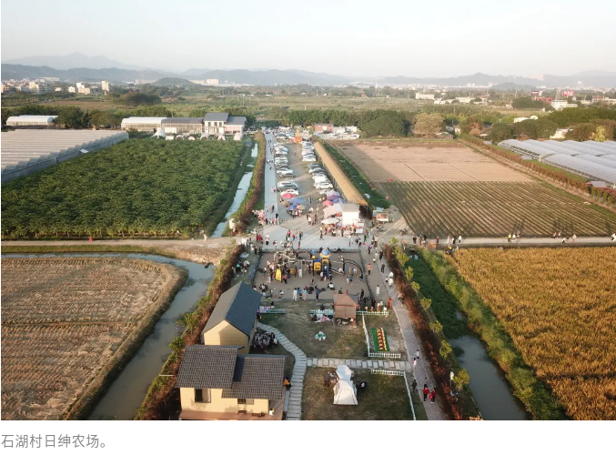 湘桥区官塘镇激发高质量发展“镇”能量 引领产业与环境双升级.doc_2
