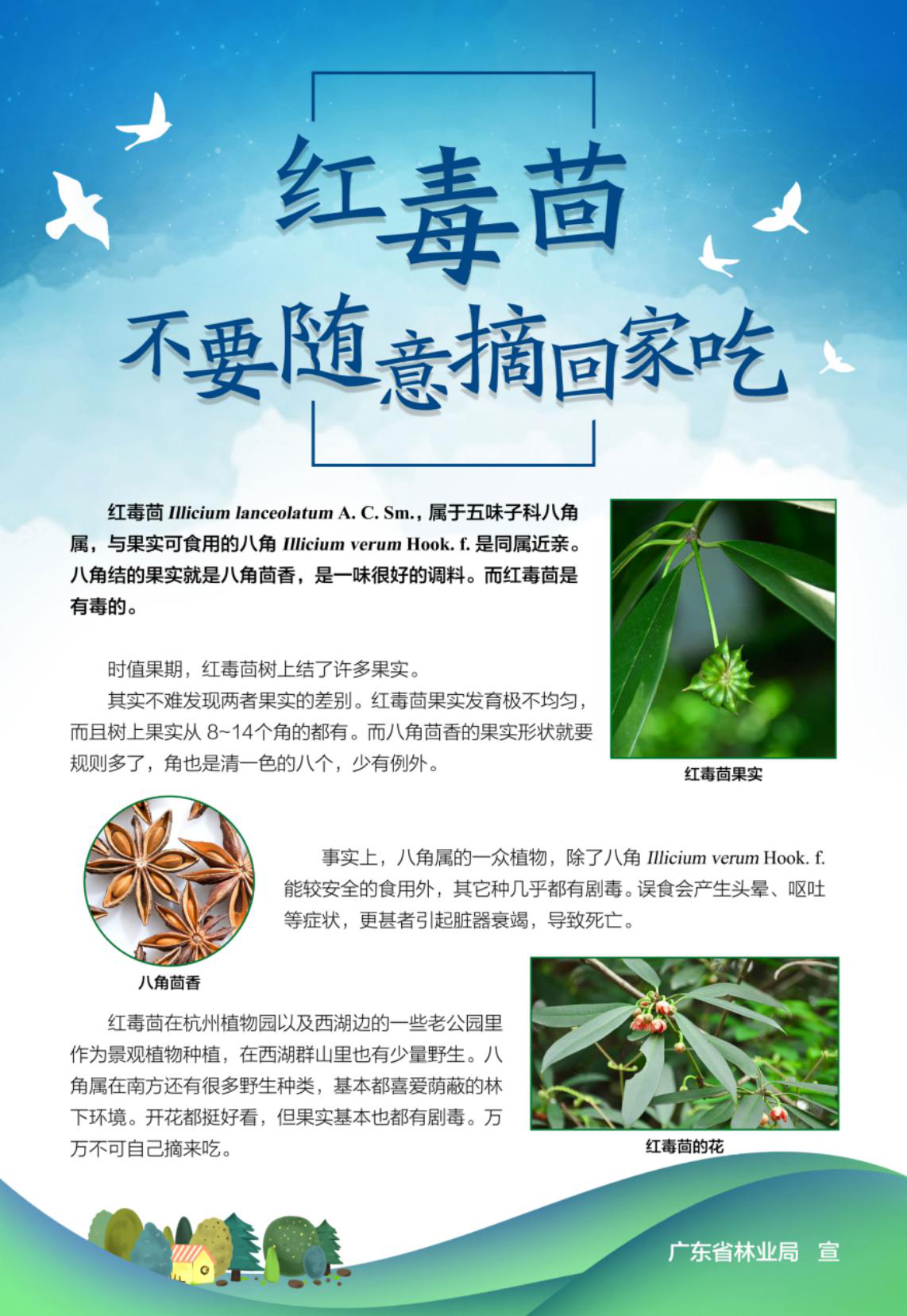 图片20.png