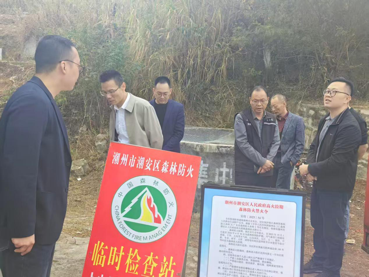 图片11.png