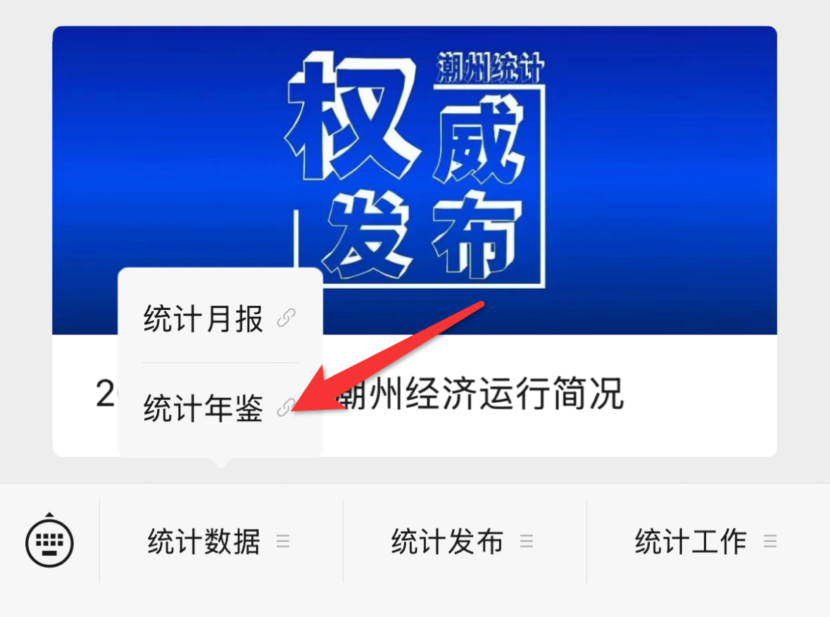 2025年年鉴正式发布.doc_3