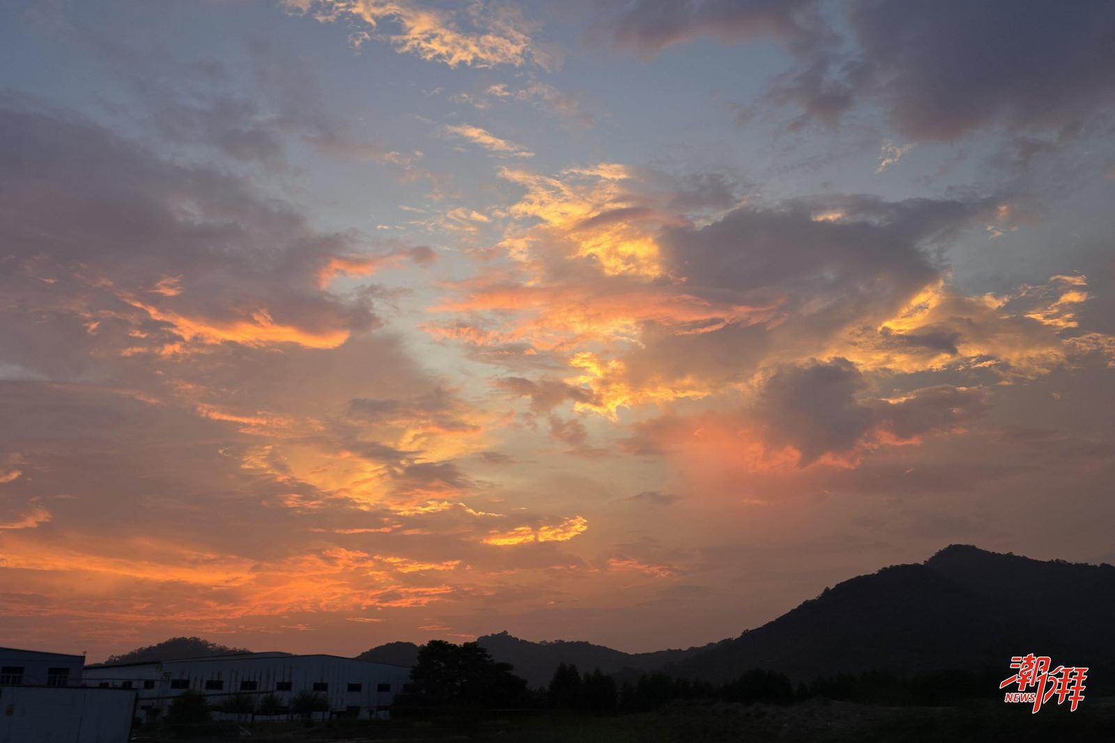 28bd96e6-a758-43fe-a357-57c27d78b77f_l.jpg