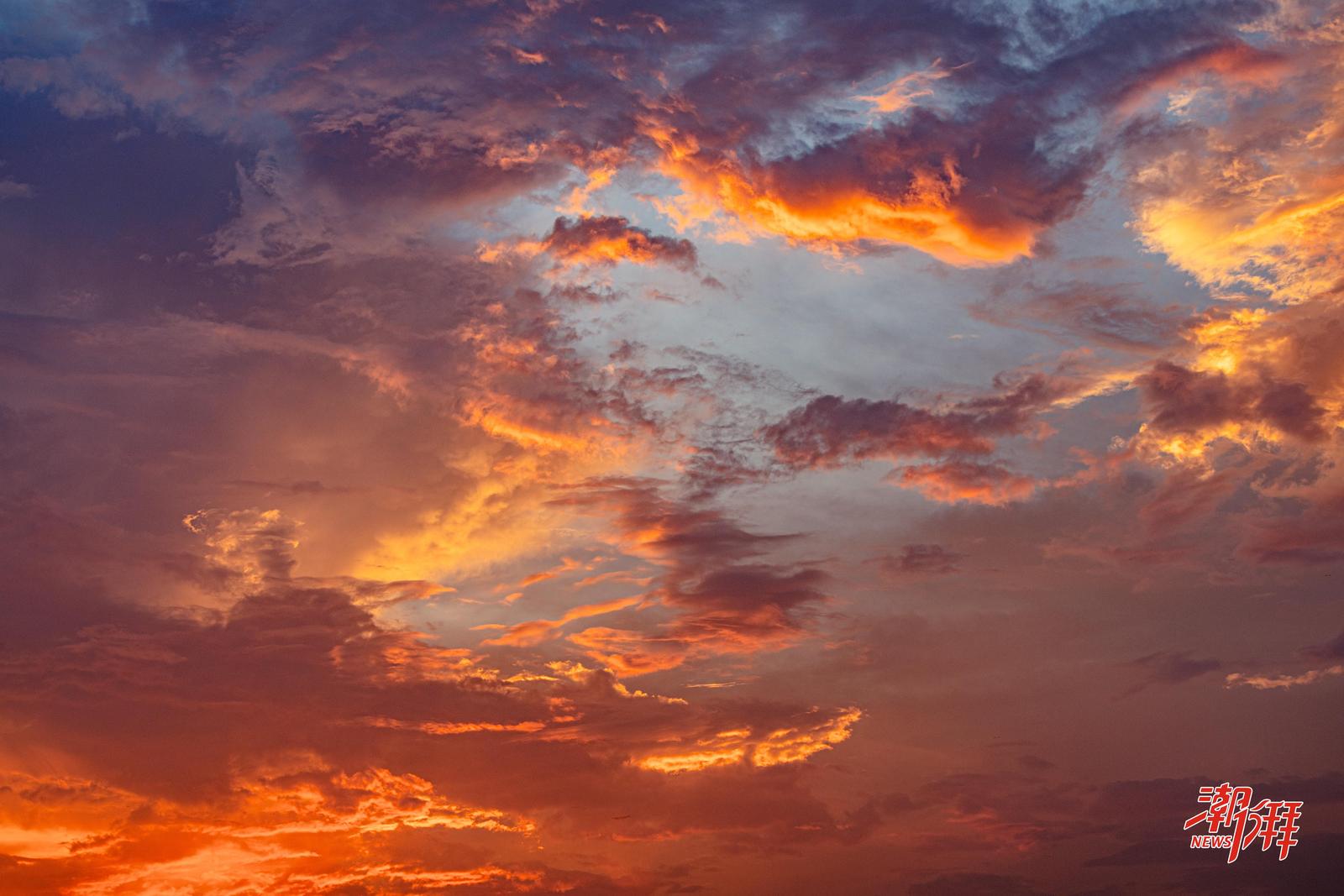 12711a32-9a56-44ad-a6da-ecb1a1527f49_l.jpg