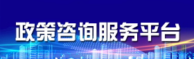 政策咨询综合服务平台